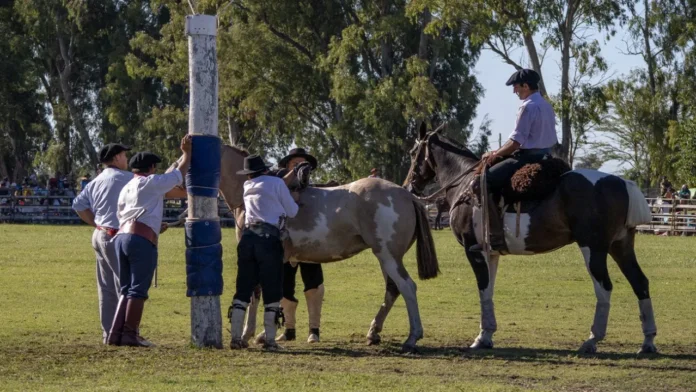 fin de semana en la provincia
