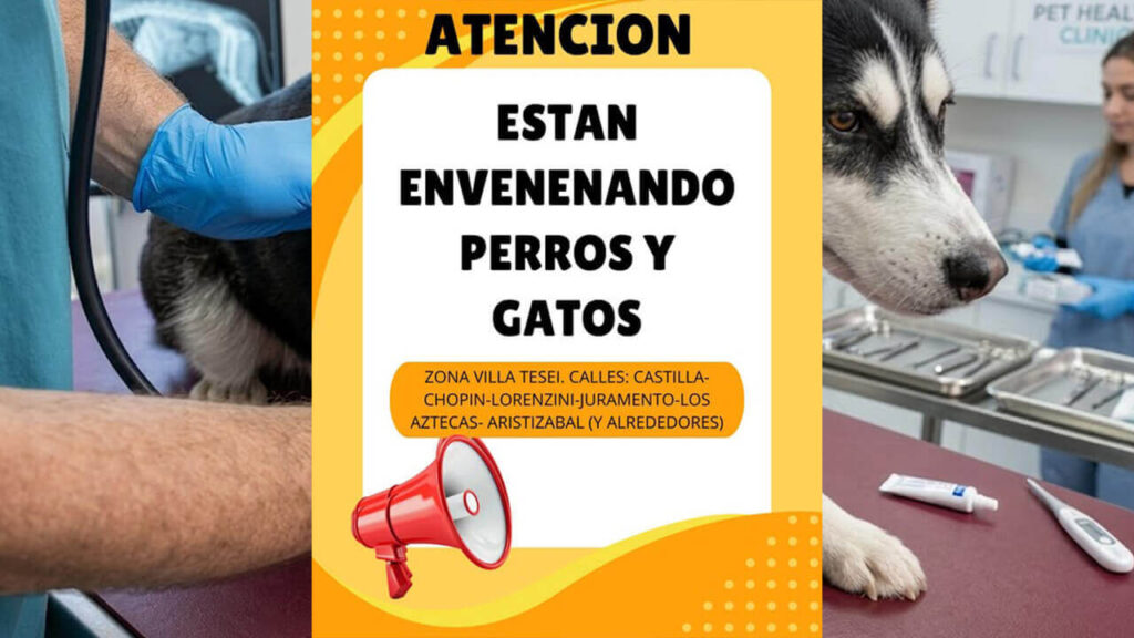 El flyer que circula por redes sociales advirtiendo de la crueldad de algunos vecinos