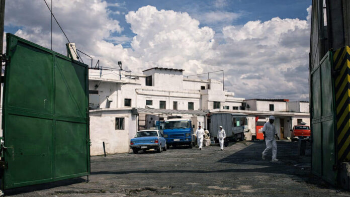 Abre Ganadera San Roque y se salvan 140 puestos de trabajo