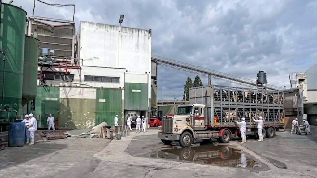Ganadera San Roque en los viejos tiempos cuando trabaja a full y vendía carne sin parar