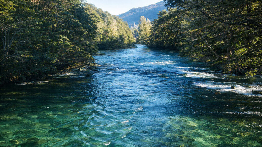 La belleza del Río Manso en La Patagonia