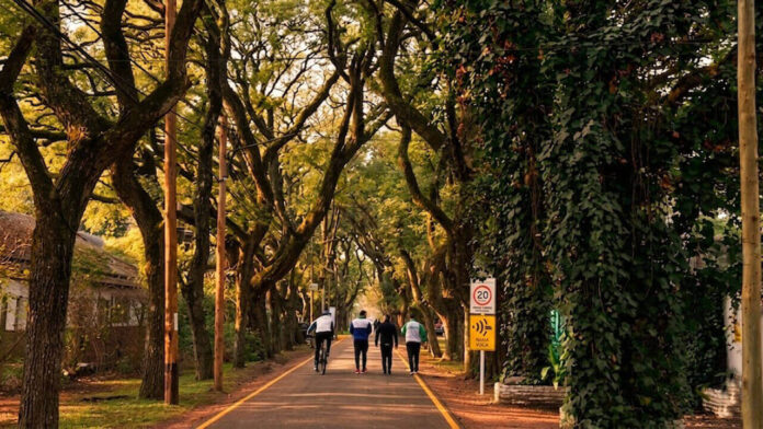 Claro que tiene sus ventajas vivir en Ituzaingó como el pasaje peatonal entre decenas más