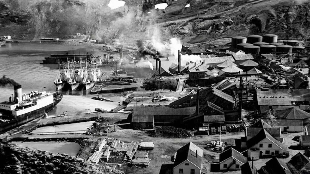 Grytviken en plena actividad, una factoría gigantesca