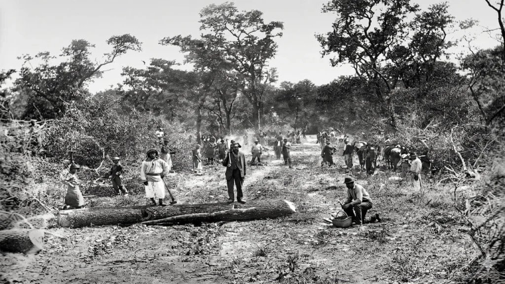 La Forestal, una de las empresas que también inició una matanza
