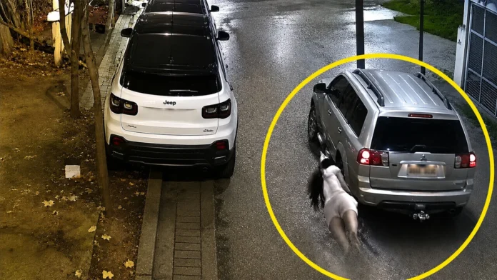 La mujer sobrevivió. Le roban y la tiran del vehículo.