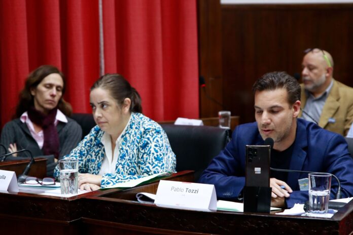 La concejala Analía Zappulla calificó como una 