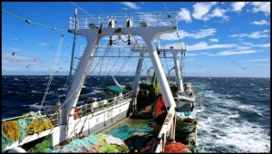 Un buque pesquero opera en aguas del Atlántico Sur, donde la pesca de calamar, merluza y otras especies representa el principal recurso económico vinculado al área de las Islas Malvinas y una de las mayores fuentes de ingresos de la administración del archipiélago.