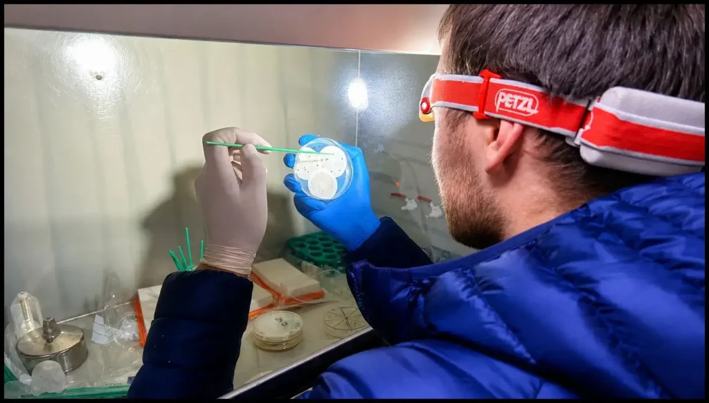 También se trata de un ambiene óptimo para nuevas investigaciones