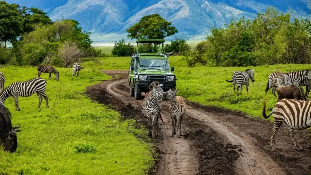 El parque nacional del Serengeti también.