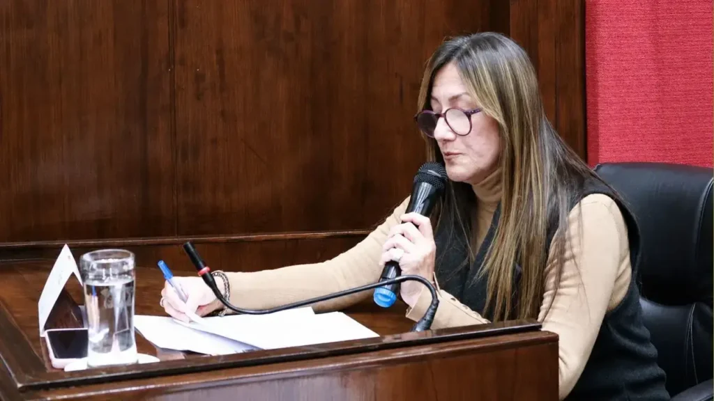 Suna Picone lee lo que dice en el recinto el día en que se trató y aprobó el Presupuesto 2026 casi en 2027.