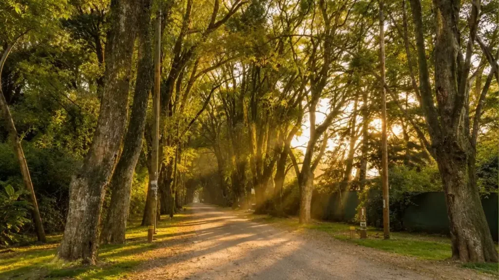 Ituzaingó, en toda su extension, está repleto de lugares para fotografía. Parque Leloir seguramente ofrece mucas imágenes desconocidas.