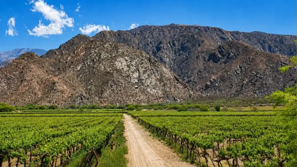 Las tierra en Argentina tienen un precio extraordinario a nivel internacional.