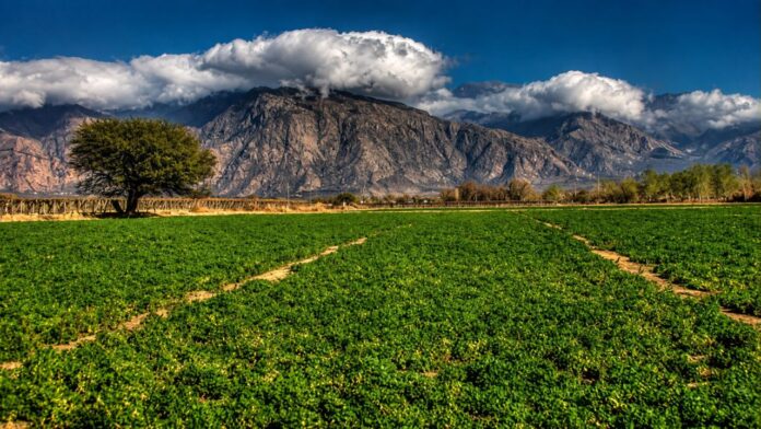 Las tierras argentinas entre las más cotizadas en el mundo.