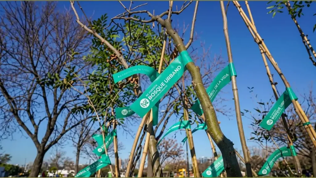 Bosque Urbano vino a mitigar los efectos del tornado. Y con el progama "Ituzaingó se Siembra" intenta que la pobllación mejore el jardín de casa, iniciar una huerta o conocer más sobre las especies nativas que forman parte del paisaje local.