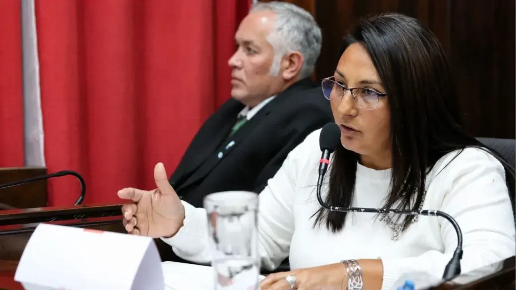 Dura la concejal Alejandra Liquitay