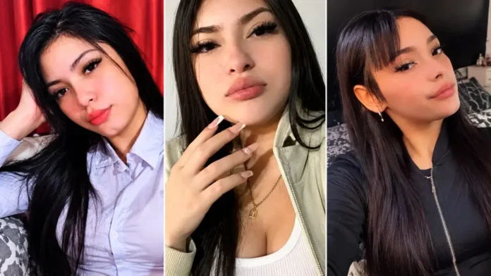 El Triple Crimen está resuelto, falta armar el rompecabezas de las responsabilidadees para llevar a los 16 detenidos a juicio.