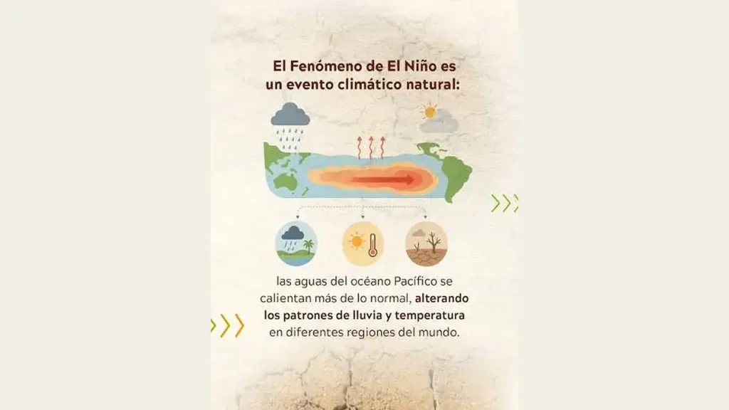 El Niño se origina en el calentamiento anómalo de las aguas del Pacífico ecuatorial y modifica patrones de lluvia y temperatura. Para octubre-diciembre, el SMN estimó una probabilidad del 100% de que continúe la fase cálida.